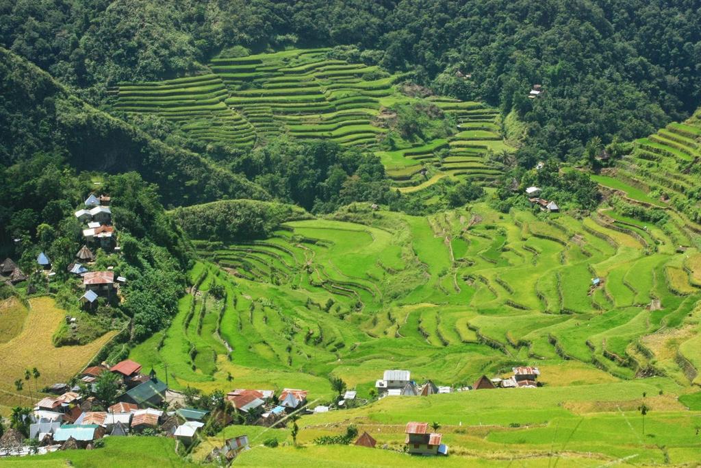 Batad Transient House Banaue Exterior foto