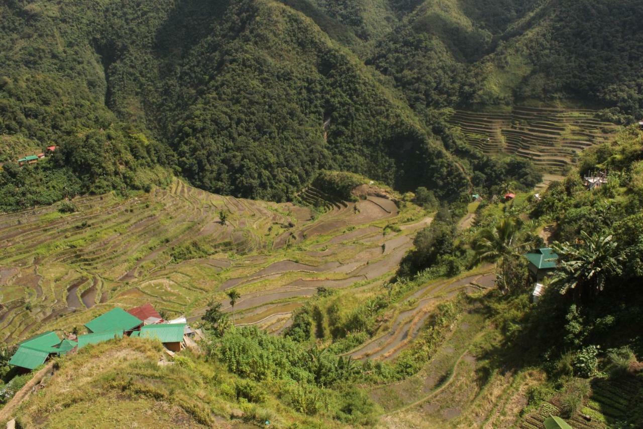 Batad Transient House Banaue Exterior foto