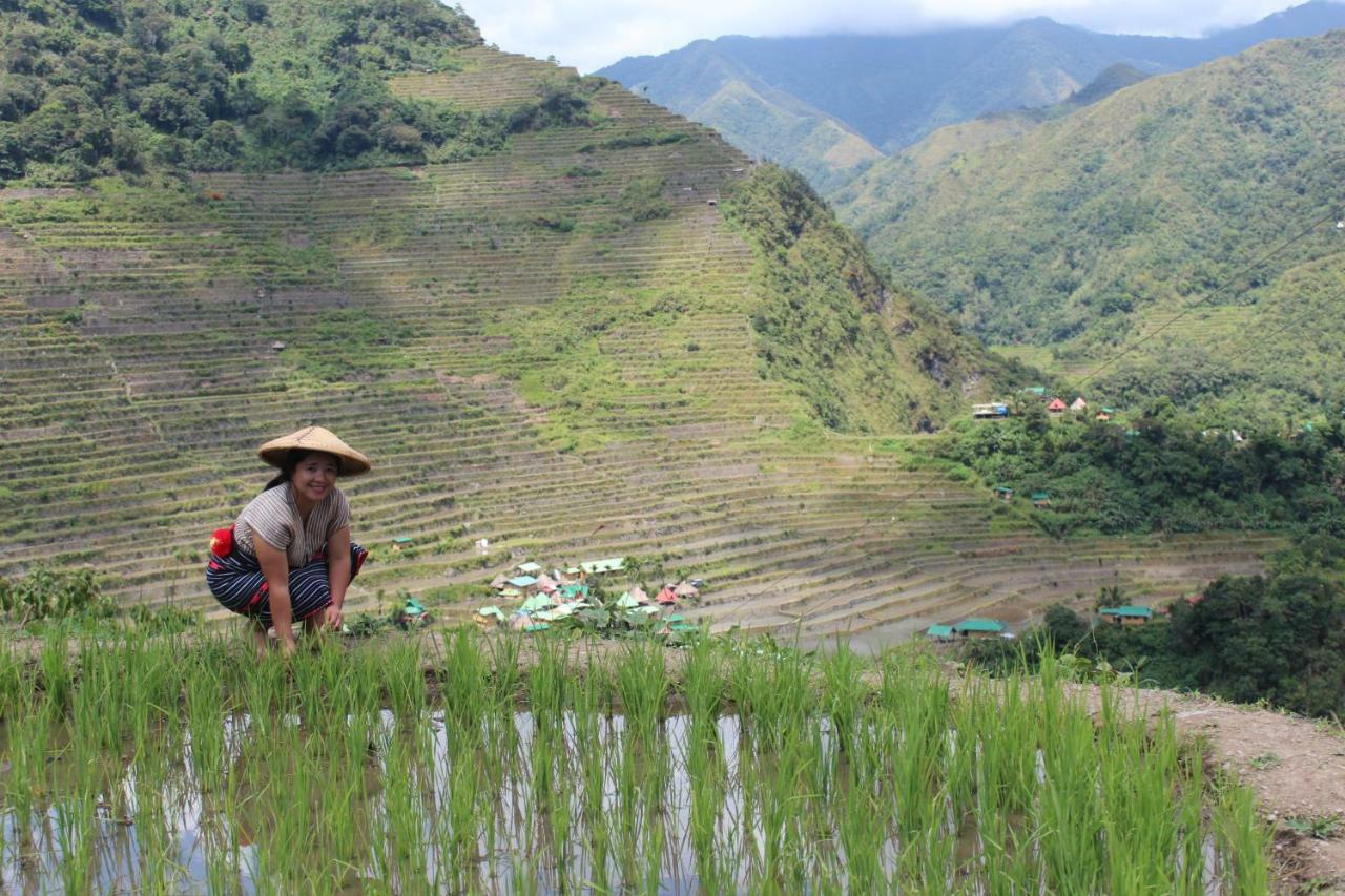 Batad Transient House Banaue Exterior foto